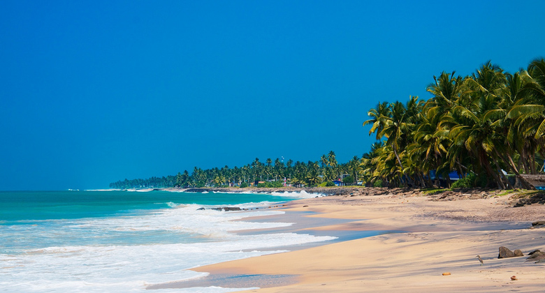 PICS.PM » Beautiful Sri Lanka Beach Landscape