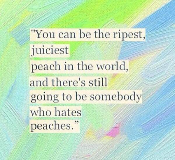 You can be the ripest, juiciest peach in the world, and there's still going to be somebody who hates peaches.