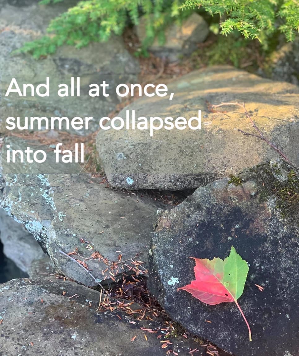 And all at once, summer collapsed into fall